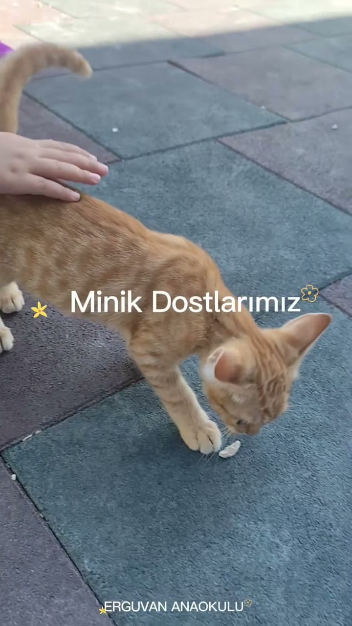 Bahçedeki minik dostlar